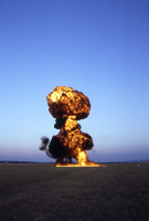 Thumbnail 1994_schall-rauch104.jpg 
