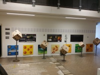 Thumbnail 2017_shifting_baselines.jpg 