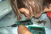 Thumbnail im002052.jpg 