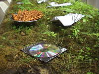 Thumbnail dsc00282.jpg 