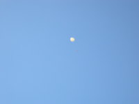 Thumbnail dscn0313.jpg 