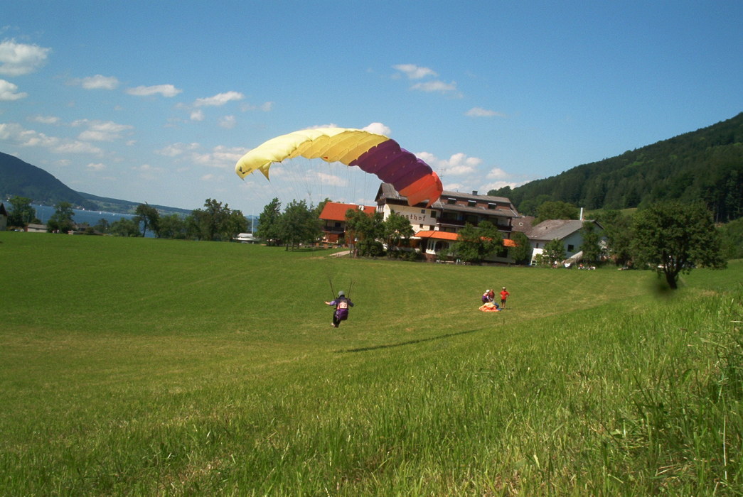 Scaled image im000545.jpg 