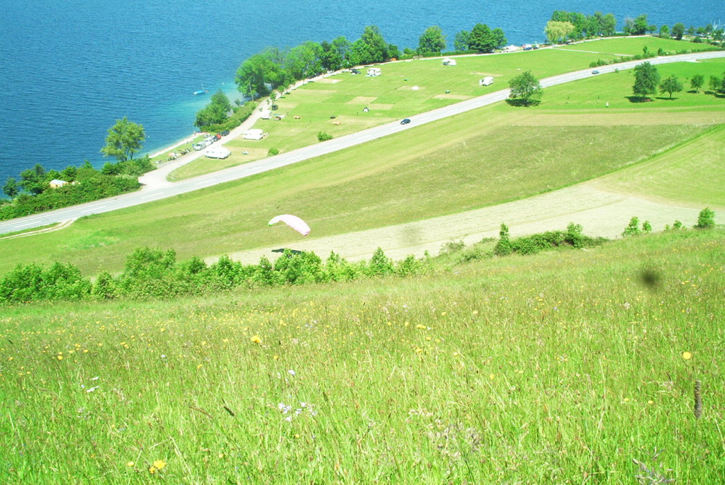 Scaled image im000622.jpg 