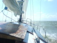 Thumbnail DSC00290.JPG 