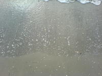 Thumbnail DSC00078.JPG 