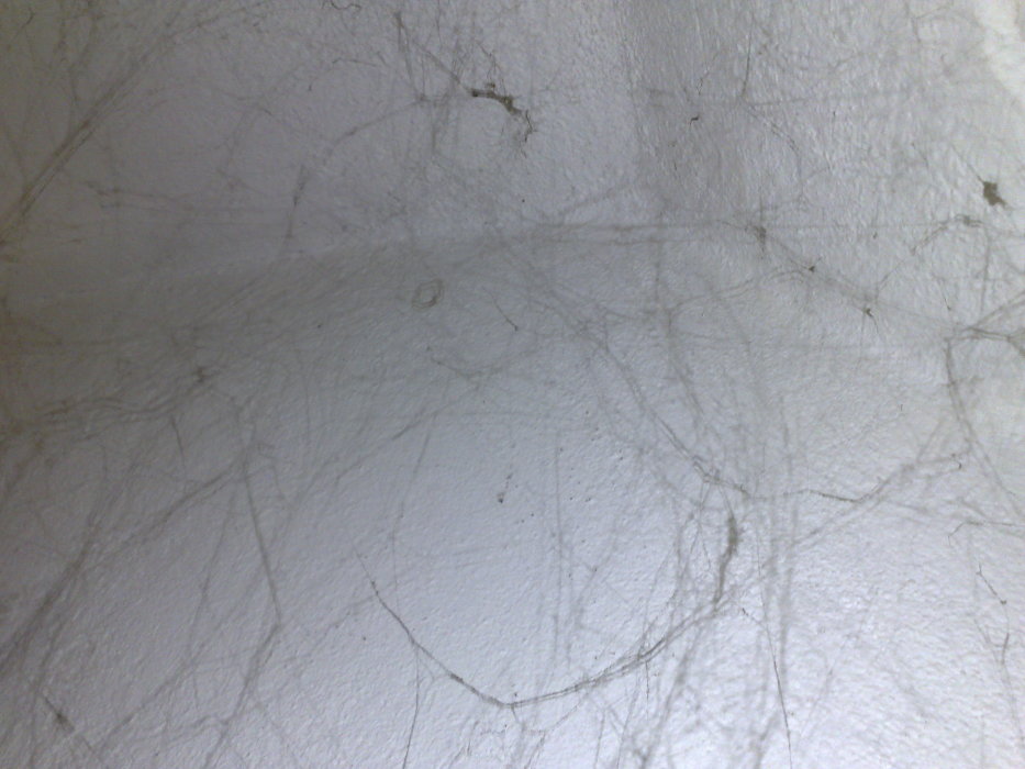 Scaled image 03032008134.jpg 
