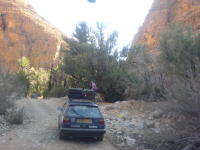Thumbnail DSC00460.JPG 