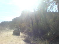 Thumbnail DSC00464.JPG 
