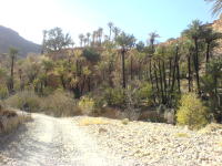 Thumbnail DSC00475.JPG 