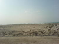 Thumbnail DSC00535.JPG 