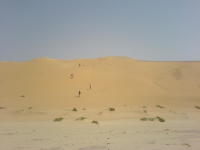 Thumbnail DSC00580.JPG 